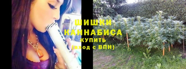 эйфоретик Верея